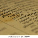 探索世界最强抖扔舞:舞动激情与创意的完美结合 oz367ao